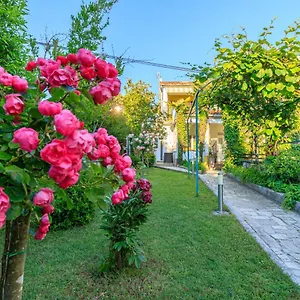 Cupar Poreč